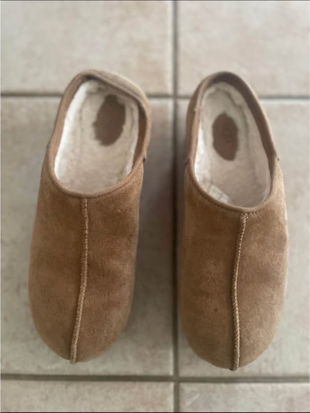 Uggs Women's Suede Mule Clogs in Brown